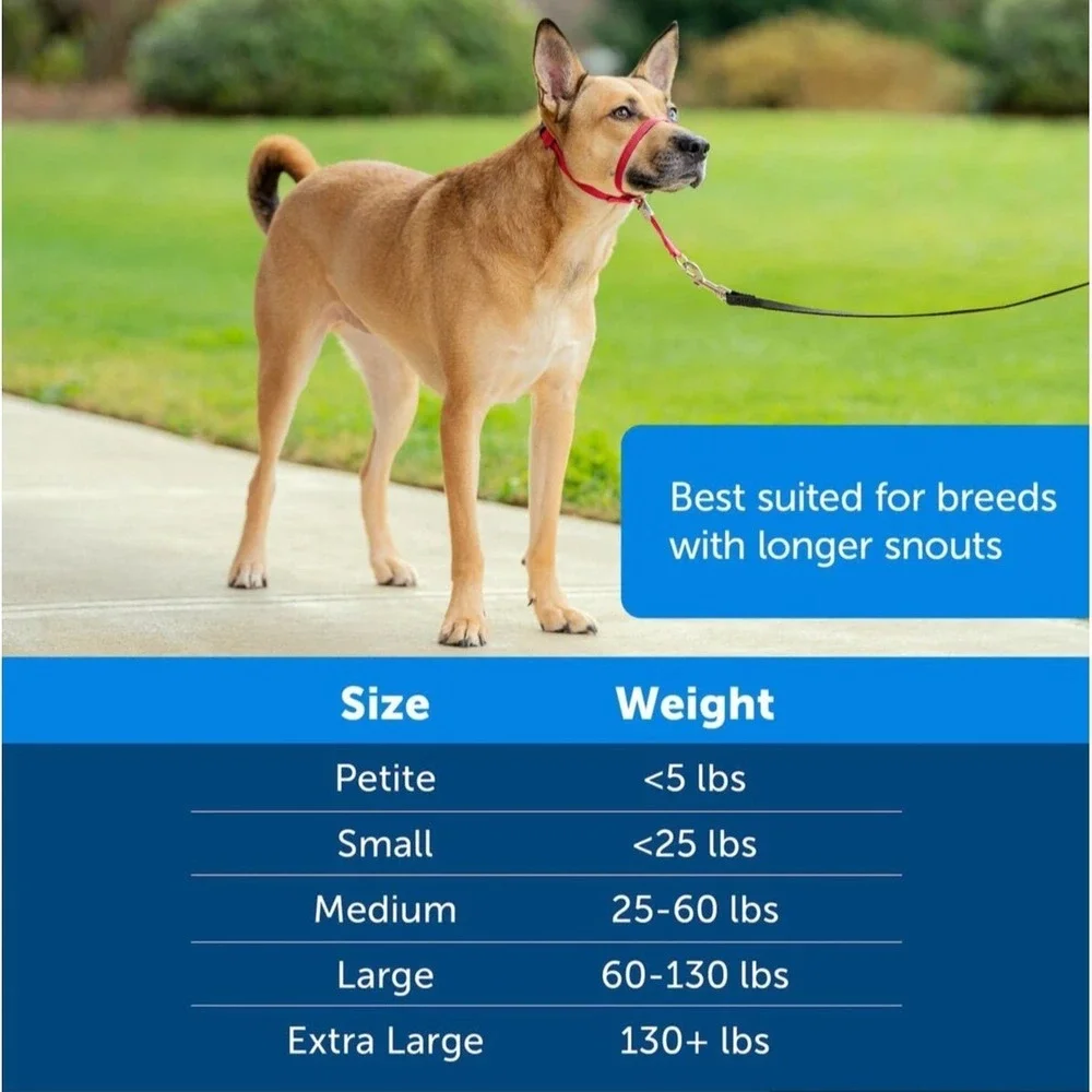 NWT‎ PetSafe Gentle Leader Padded No Pull Dog Headcollar Size M
